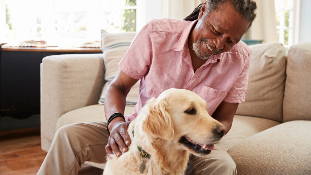 About Silvers Law, P.A. – Pet Trust Support For Holiday Families