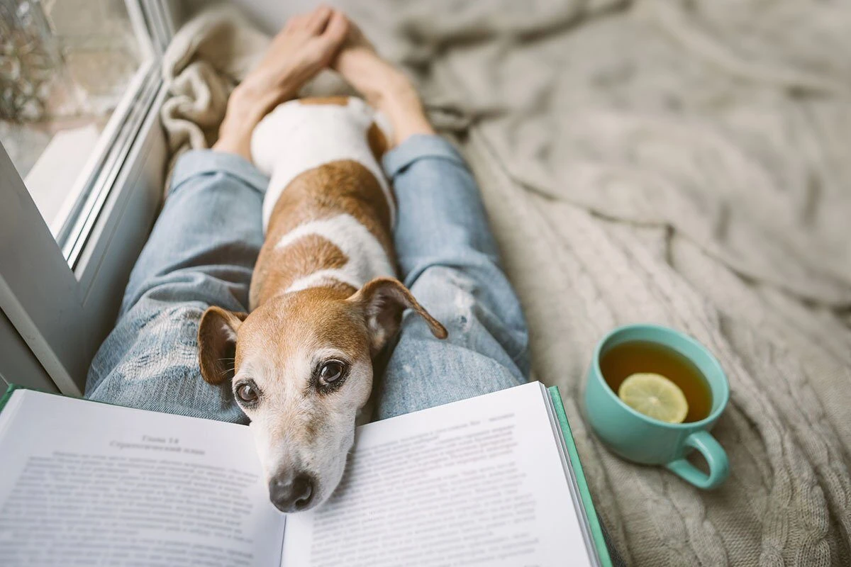 Trinity Pet Trusts Attorney