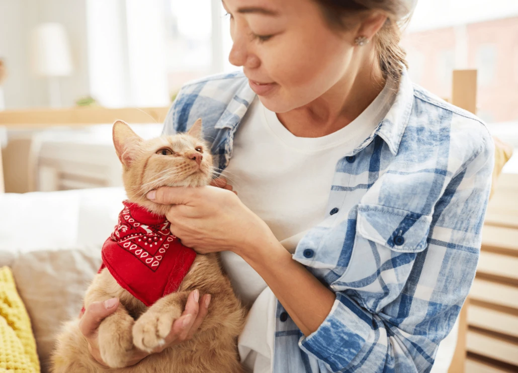 Our-Step-by-Step-Pet-Trust-Planning-Process