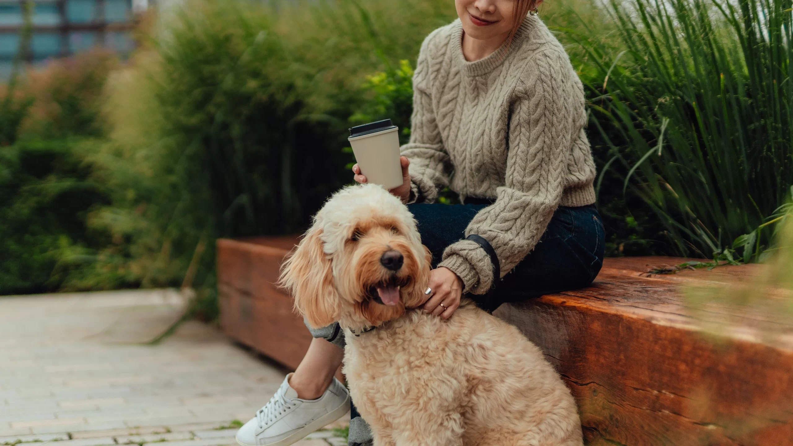 Why Holiday Relies On Silvers Law, P.A. For Pet Trust Planning